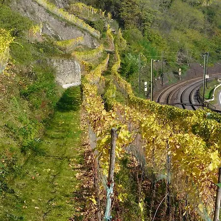 Weingut Stahl Oberwesel