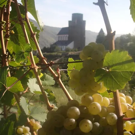 Konukevi Weingut Stahl Oberwesel