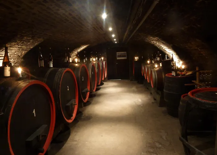 招待所 加托斯维固特斯塔勒酒店