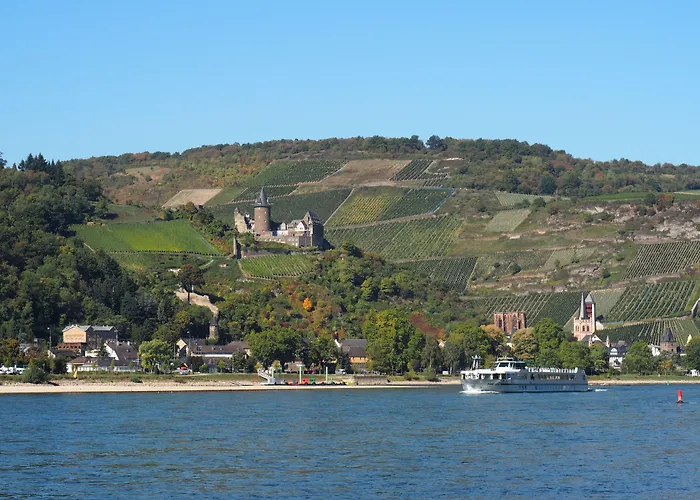 Pensjonat Weingut Stahl