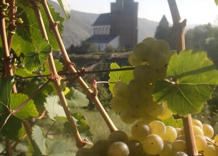 Pensjonat Weingut Stahl Oberwesel