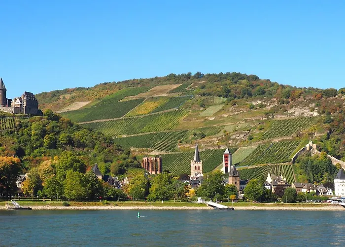 Weingut Stahl Pensjonat 3*